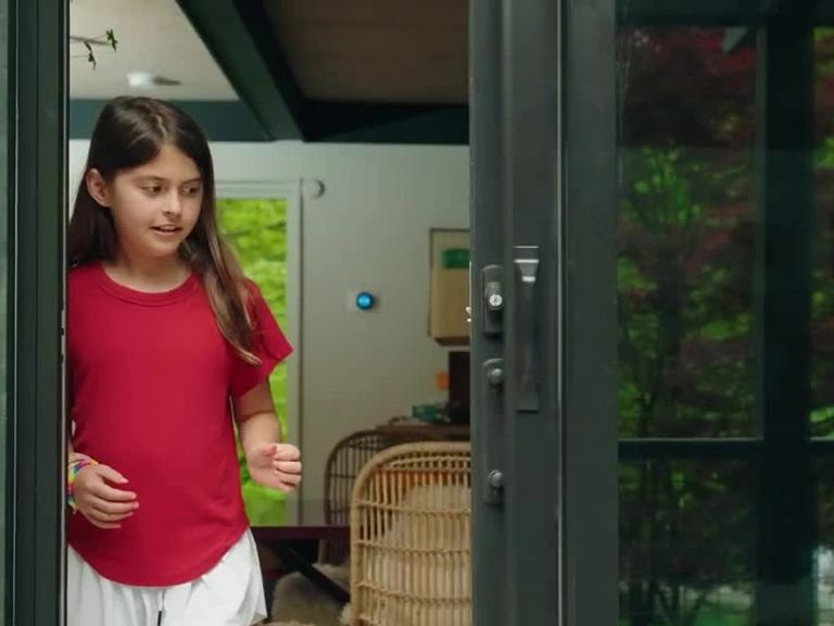 Bağlıca Akordiyon Sineklik Böceklere Karşı Çözüm