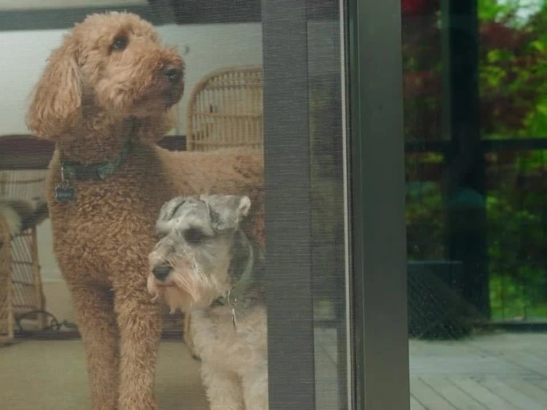 Bağlıca Menteşeli Sineklik Sineksiz Temiz Ortam