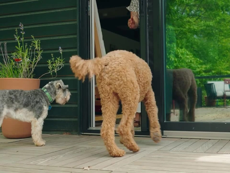 Bağlıca Sineklik Fiyatları Huzurlu ve Temiz Hava